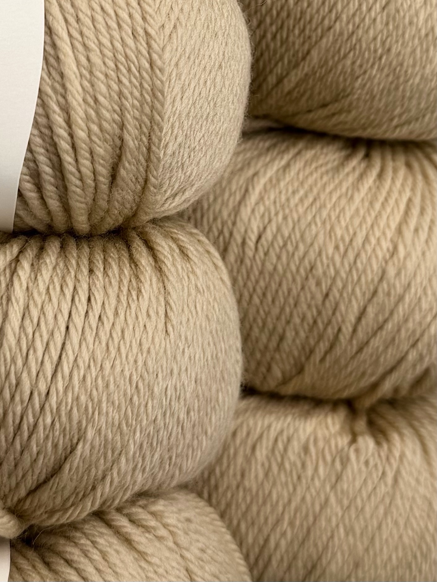 Rial Filati Art. Ghibli – 100% Merinowolle col. 1216 Elfenbeinbeige, 100 m/50 g (10 Knäuel) foto 2